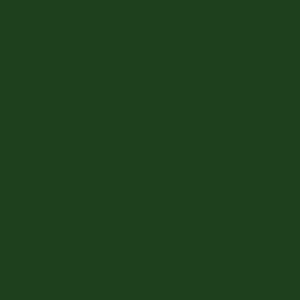 Varsity Green QC 28380